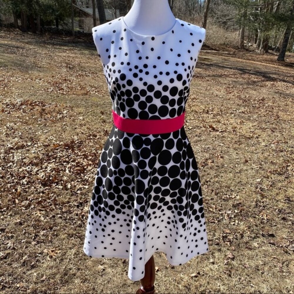 SANDRA DARREN DRESS FIT FLARE WHITE BLACK DOT Size 6